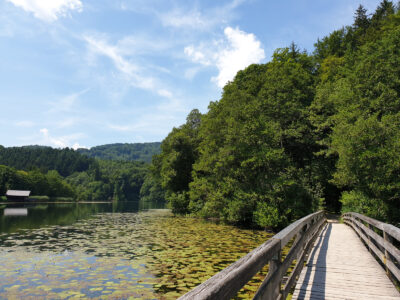 Steg am Höglwörther See