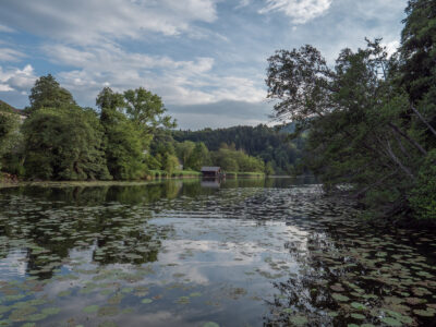 Höglwörther See