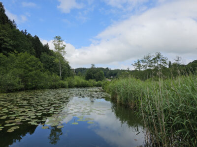 Höglwörther See