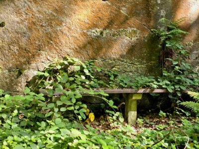 Bank am Wesenitzwanderweg