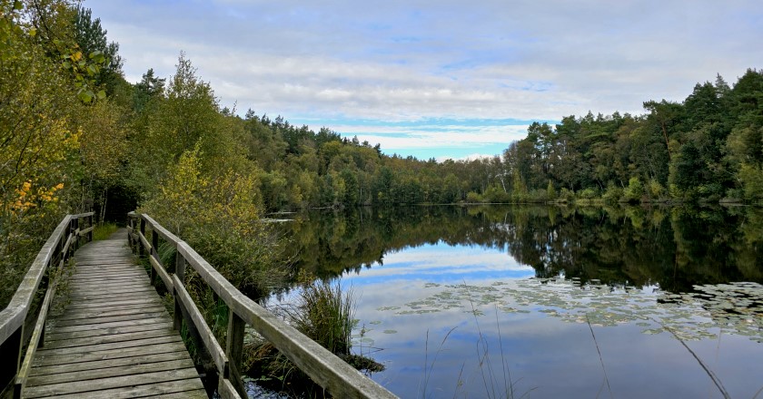 Blick über die Moorlandschaft der Wienpietschseen mit begehbarem Holzsteg