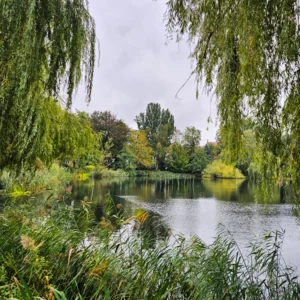 Herrensee am Müritzeum