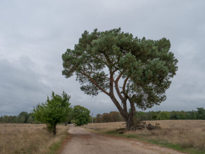 Landschaftsansicht