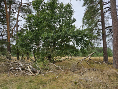 Landschaftsansicht