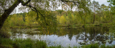 Wienpietschseen