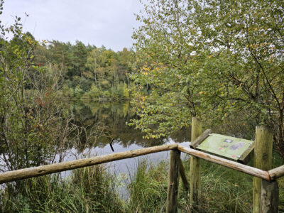 Info zu den Wienpietschseen