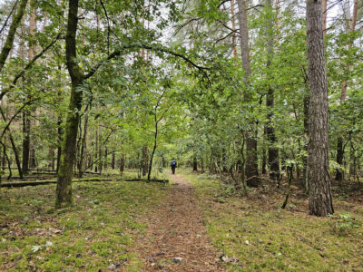 Auf dem Eichhörnchenweg