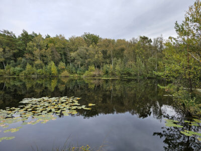 Wienpietschseen