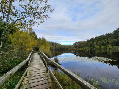 Moorsteg an den Wienpietschseen