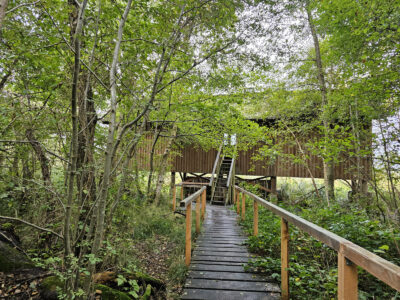 Beobachtungsturm am Rederangsee