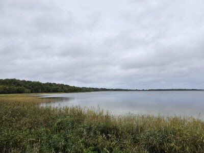 Ausblick vom Beobachtungsturm am Rederangsee