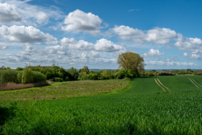 Ausblick vom Naturlehrpfad in Gummanz