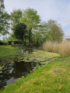 Am Dorfteich