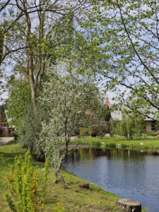 Blick zur Kirche Middelhagen vom Dorfteich