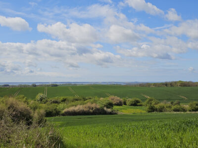 Ausblick vom Wanderweg am Kreidebruch