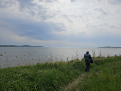 Weg an der Hagenschen Wiek