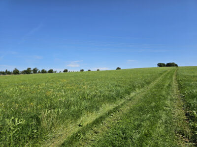 Weg zum Aussichtspunkt Schlossblick