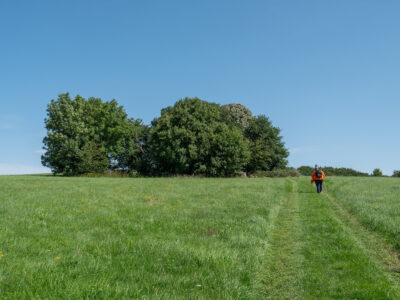 Aussichtspunkt Schlossblick gleich erreicht
