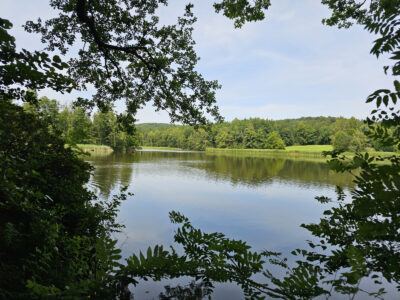 Am Waldscheibenteich