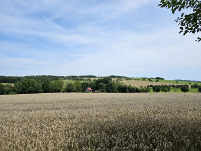 Blick von der Kirschallee unseren Wanderweg am Horizont