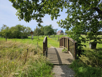 Brücke am Waschteich