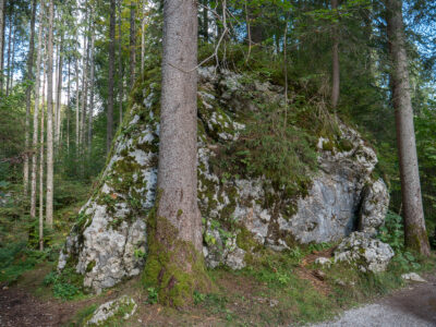 Hintersee und Zauberwald in Ramsau bei Berchtesgaden