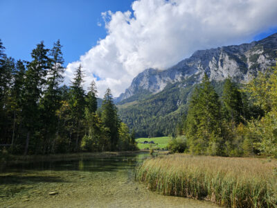 Hintersee und Zauberwald in Ramsau bei Berchtesgaden