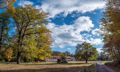 Blick zur Waldschänke
