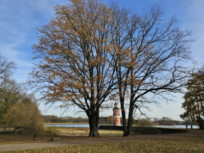Moritzburger Leuchtturm im Herbst