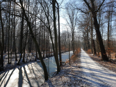 Kanal im Winter am Kutschgeteich