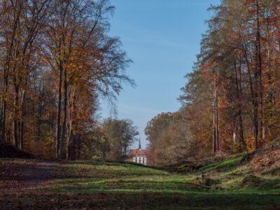 Blick zum Schloss Moritzburg