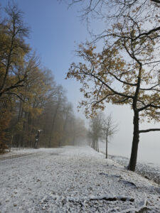 Nebel am Schlossteich