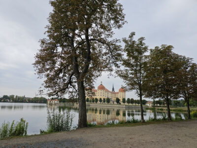 Durchblick zum Schloss Moritzburg