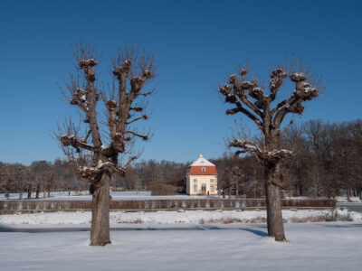 Kavaliershaus und Aesculus hippocastanum/Gewöhnliche Rosskastanie