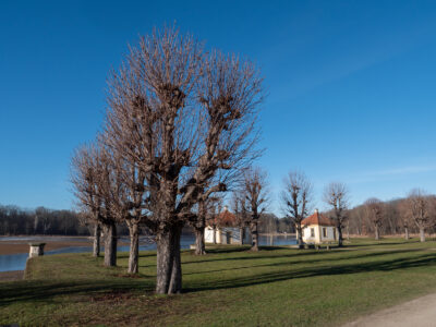 Teichhäuser auf der Schlossinsel