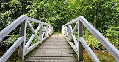 Laurabrücke im Seifersdorfer Tal