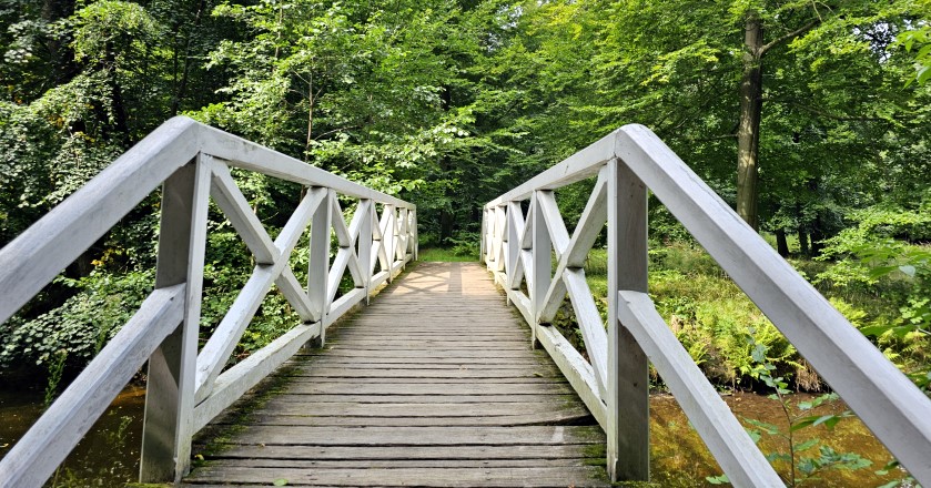 Laurabrücke im Seifersdorfer Tal
