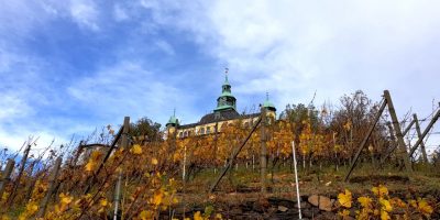 Spitzhaus Radebeul