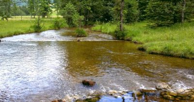Falkenstein-Runde - Falkenseebach