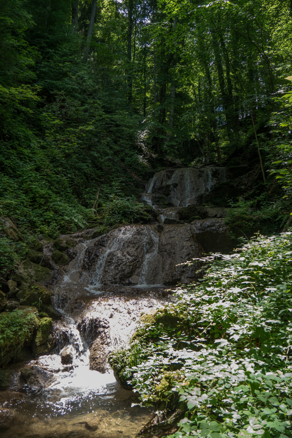Wasserfall am Waldlehrpfad