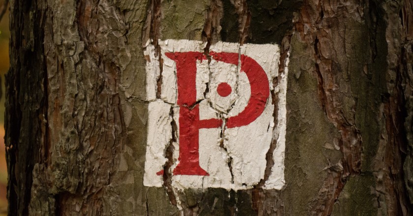 Wanderung zum Prießnitzwasserfall