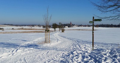 Blick vom Nordufer des Dippelsdorfer Teichs nach Moritzburg