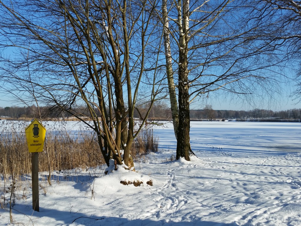 Winter am Dippelsdorfer Teich Unterwegs Petras Blog