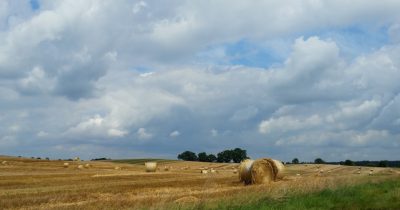 Auf dem Friedewald-Rundweg