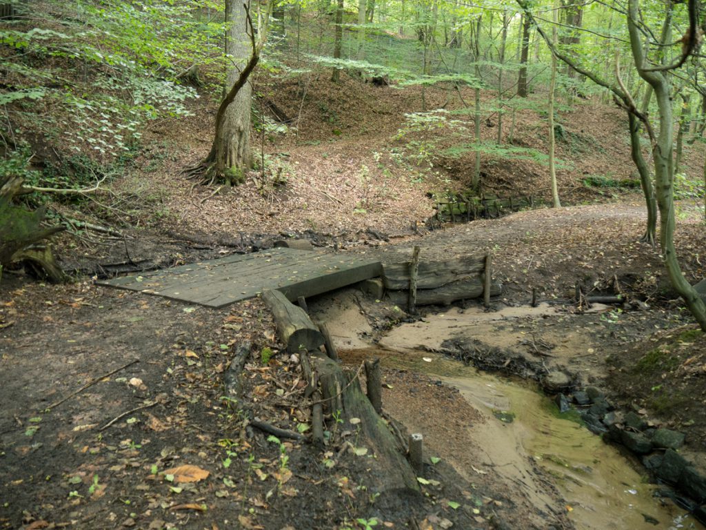 FriedewaldRundweg unterwegs zwischen Dippelsdorfer Teich und