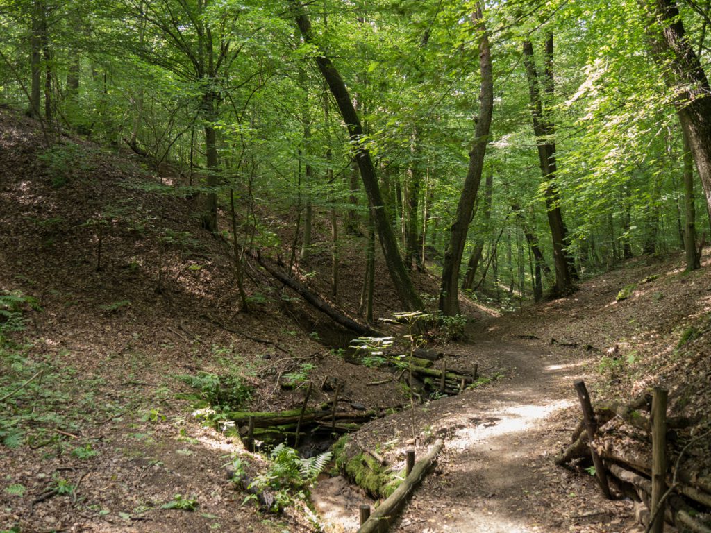 FriedewaldRundweg unterwegs zwischen Dippelsdorfer Teich und