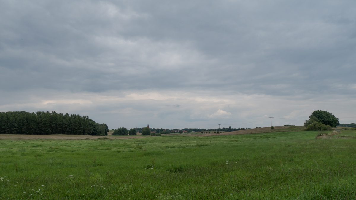 FriedewaldRundweg unterwegs zwischen Dippelsdorfer Teich und