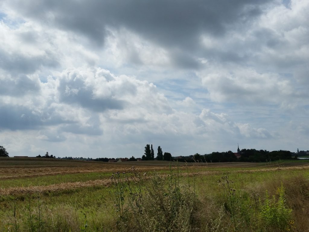 FriedewaldRundweg unterwegs zwischen Dippelsdorfer Teich und