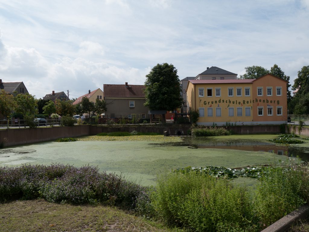 FriedewaldRundweg unterwegs zwischen Dippelsdorfer Teich und