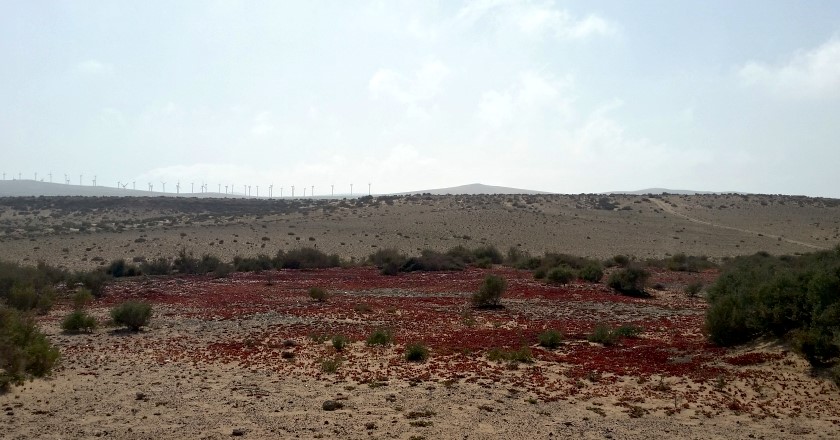 Unterwegs auf dem Istmo de la Pared